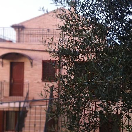 Nonna Caro Otel Fermo Dış mekan fotoğraf